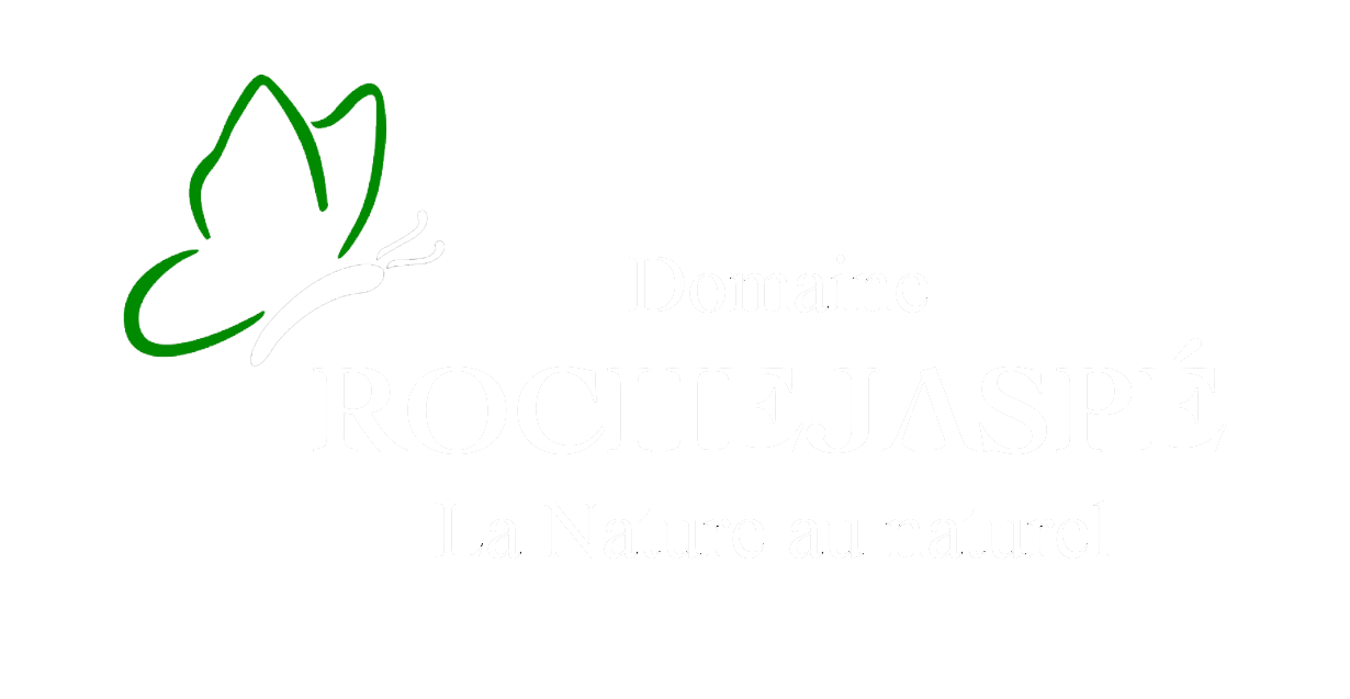 Denis Bardon Domaine Rochejaspé